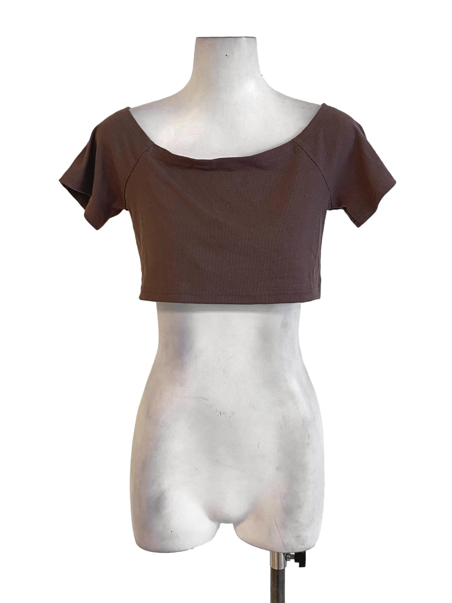 Carob Brown Plain Cropped Waisted T-Shirt