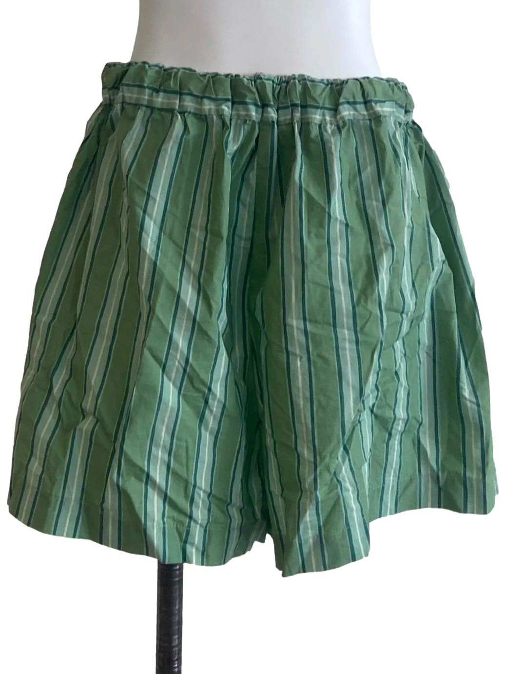 Fern Green Stripe Shorts - Image 2