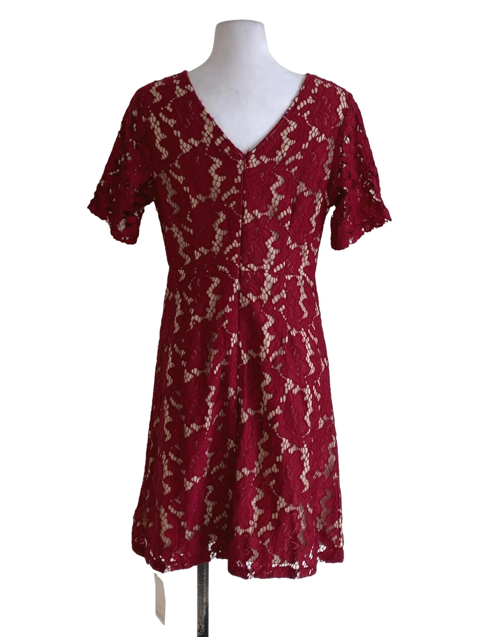 Scarlet Lace Empire Dress - Image 2